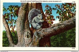 New York Long Island Squirrel In Tree I'm Nuts About Westhampton Beach - Long Island