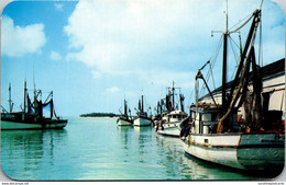 Florida Key West Shrimp Fleet And Docks - Key West & The Keys