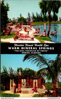 Florida Venice Warm Mineral Springs 1959 - Venice