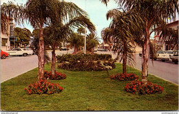 Florida Venice Portion Of Venice Avenue 1970 - Venice