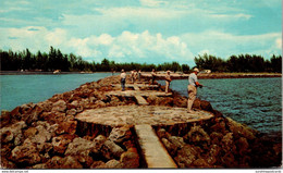 Florida Venice Fishing On The Jetties 1964 - Venice