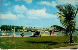 Florida Clearwater Beach Marina Playgrounds And Parks 1974 - Clearwater