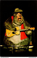 Florida Walt Disney World Country Bear Jamboree Big Al - Orlando