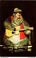 Florida Walt Disney World Country Bear Jamboree Big Al - Orlando