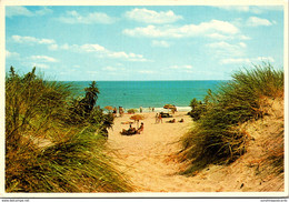 New York Long Island Jones Beach State Park Sand Dunes - Long Island