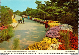 New York Long Island Jones Beach State Park Fall Flowers - Long Island