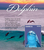 Gambia 2021 Marine Life Dolphin Souvenir Sheet - Gambia (1965-...)