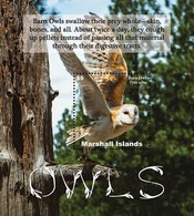 Marshall Islands 2021 Owls Souvenir Sheet - Marshall Islands