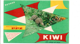 BUVARD CIRAGE PPZ KIWI - C