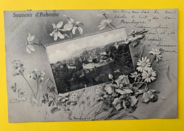 17708 - Souvenir D' Aubonne Narcisses, Pavots.... - Aubonne