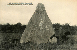 St Brévin L'océan * Le Gand Menhir De Boivre Ou De La Pierre * Monolithe Mégalithe - Saint-Brevin-l'Océan