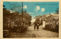 St Brévin L'océan * Avenue Des Chalets * Villas - Saint-Brevin-l'Océan