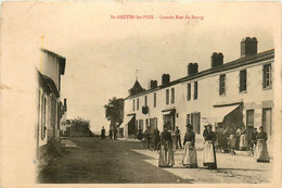St Brévin Les Pins * La Grande Rue Du Bourg * Villageois * Commerce Magasin - Saint-Brevin-les-Pins
