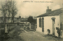 St Brévin Les Pins * Avenue Des Peupliers Et Dunes D'amour - Saint-Brevin-les-Pins