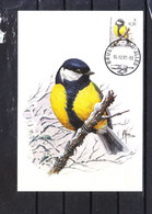 2966 Buzin - Mésange Charbonnière - 1985-.. Pájaros (Buzin)