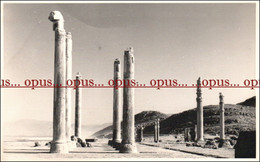 Real Photographic Postcard - 9x14 Cm | Iran, 1950/60 | Persepolis - Irán