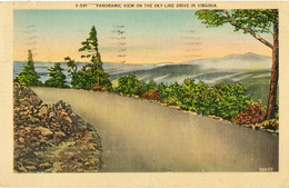 V-591   Panoramic View On The Skyline Drive- (Single Ring Postmark- GALAX  VA. 1942)-Marcophilie - American Roadside