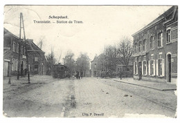 Belgique - Schepdael - Station Du Tram - Tramstatie - Dilbeek