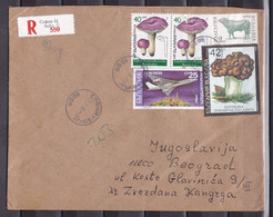 Bulgaria 1991 Belgrade Yugoslavia Serbia Registered Cover - Covers & Documents