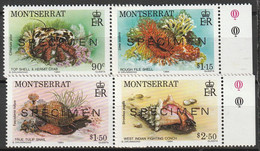 MONTSERRAT - SPECIMEN - N°554/7 ** (1984) Faune Marine - Montserrat