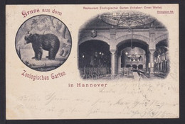 5 Pf. Privat Ganzsache Zoologischer Garten Hannover- Bär" - Gebraucht 1898 - Osos
