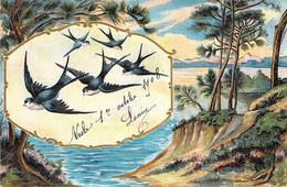 CPA Oiseaux - Hirondelles - Envoyé De Nesle En 1908 - Birds