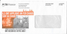 Lettre PETA France : Les ânes. (Voir Commentaires) - Donkeys