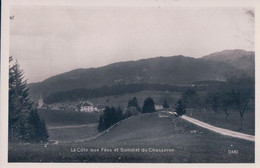 Côte Aux Fées NE Et Le Chasseron (12482) - La Côte-aux-Fées