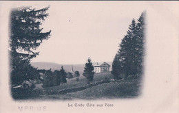 Côte Aux Fées NE, La Crète (246) - La Côte-aux-Fées