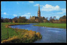 Salisbury Cathedral From The River Avon 1982 Salmon - Salisbury