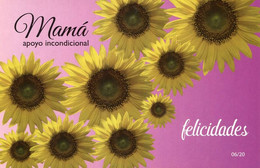 Lote PEP 1401, Cuba, Entero Postal Stationery, Felicidades Mama, 2017, 6-20, Mother Day, Flower, Apoyo Incondicional - Maximumkaarten