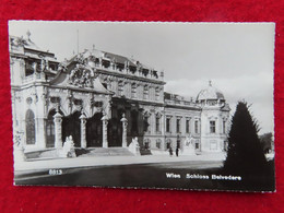 AK: Echtfoto - Wien Schloss Belvedere, Gelaufen 10. 5. 1955 (Nr.3670) - Belvédère