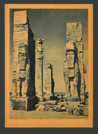 Propolis Of The Palace Of Darius And Persepolis Vintage Postcard Iran - Iran