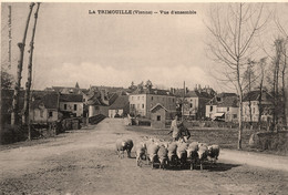 La Trimouille * Route Et Rue Du Village * Berger Moutons - La Trimouille