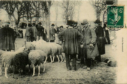 Mirebeau En Poitou * Vue Sur Le Champ De Foire * Marché Aux Moutons * Place - Mirebeau