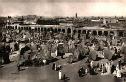 Maroc  >   Carte Postale  > Scène Et Types > La Cigogne > T V 7 F 06 ) - Marrakech