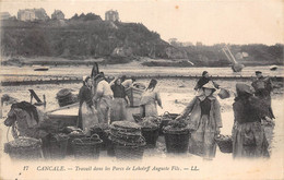 35-CANCALE- TRAVAIL DANS LES PARCS DE LEHOËRFF AUGUSTE FILS - Cancale