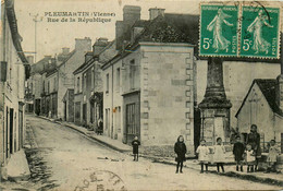 Pleumartin * La Rue De La République * Villageois - Pleumartin