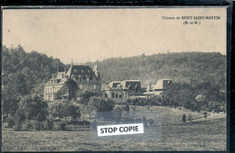 O5 - 2022 - WIM13 - MEURTHE ET MOSELLE - 54 - MONT SAINT MARTIN - Le Château - Mont Saint Martin