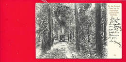 Himalayan Railway Forrest Darjeeling Inde - Inde