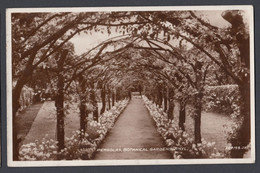 Vintage Postcard Postale Carte Postkarte Pergolas Botanical Gardens Rhyl Denbighshire Posted With KGVI Stamps - Denbighshire