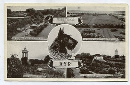 AK 057834 SCOTLAND - Ayr - Ayrshire
