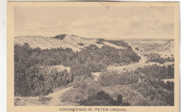 B2663) Nordseebad ST. PETER - ORDING - Blick über Sträucher Und Sand ALT 1915 - St. Peter-Ording