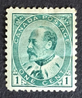 1903 - Canada - King Edward VII - 1c - ( Mint Hinged ) New - Unused Stamps
