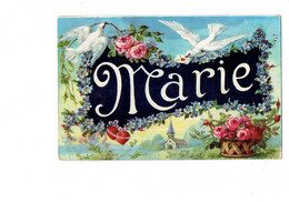 Carte Fantaisie - Lettres Alphabet Prénom MARIE - OISEAU Message Lettre Cœur église Fleurs Roses Myosotis Serie 2004 W - Prénoms