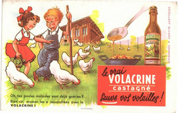 VOLACRINE Castagné - Véritable Buvard  - Imprimerie LAVAUZELLE - - Agriculture