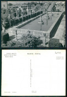 PORTUGAL COR 70981 - CASTELO BRANCO JARDIM DO PAÇO DO BISPO ASPECTO PARCIAL - Castelo Branco