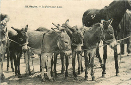 Saujon * La Foire Aux ânes * Marché âne - Saujon