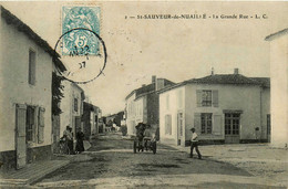 St Sauveur De Nuaillié * La Grande Rue * Villageois - Other & Unclassified