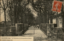 01 - MONTLUEL - Passerelle - Montluel